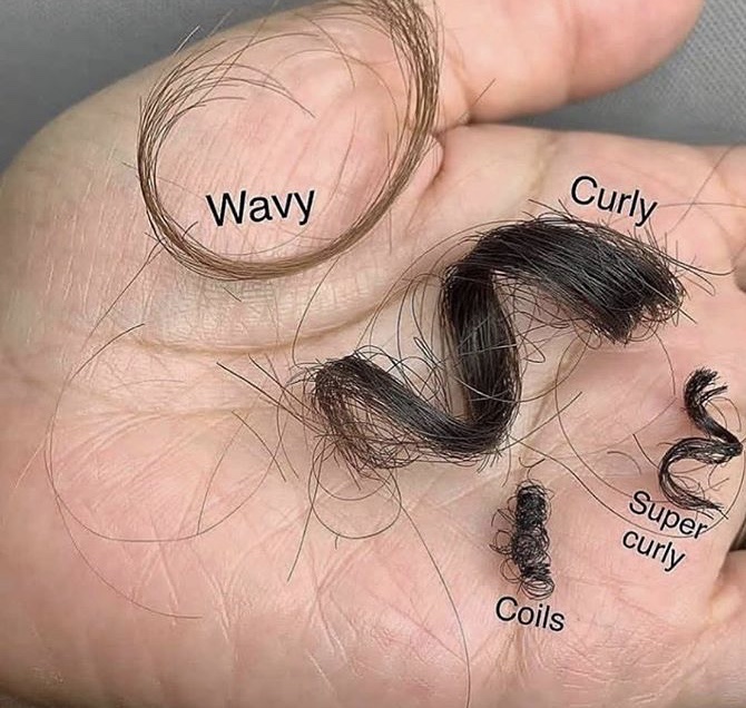 Type 4 Hair - Coily